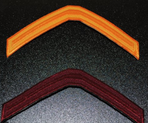 Nursing Chevrons
