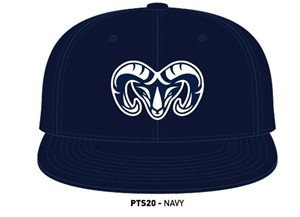 RICHARDSON PTS20 PULSE R-FLEX HAT