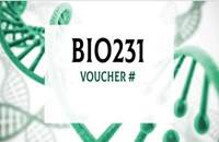Bio Kit 231 - Voucher