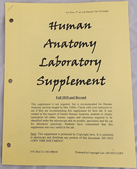 Biology 211 Lab Supplement J. Gibbs